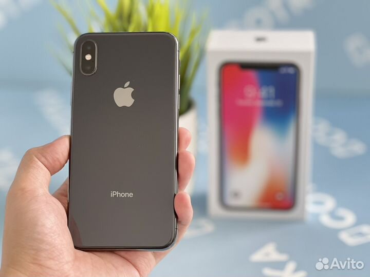 iPhone X, 256 ГБ