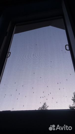 Откосы на окна, ремонт окон, балконов, москитки