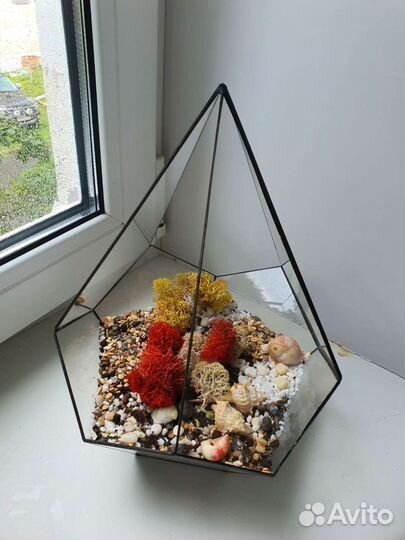 Флорариум с грунтом и ракушками