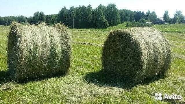 Сено(Кивсерткасы)