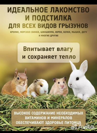 Сено для кроликов