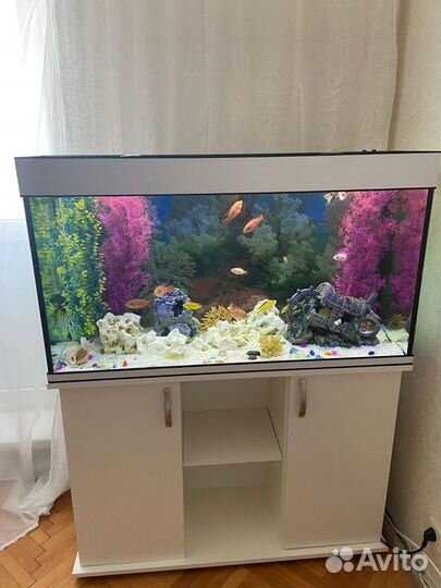 Аквариум 200 с тумбой и освещением