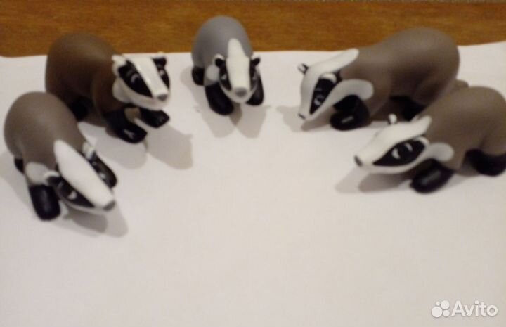 Животные леса. Кабан, рысь, бурундуки