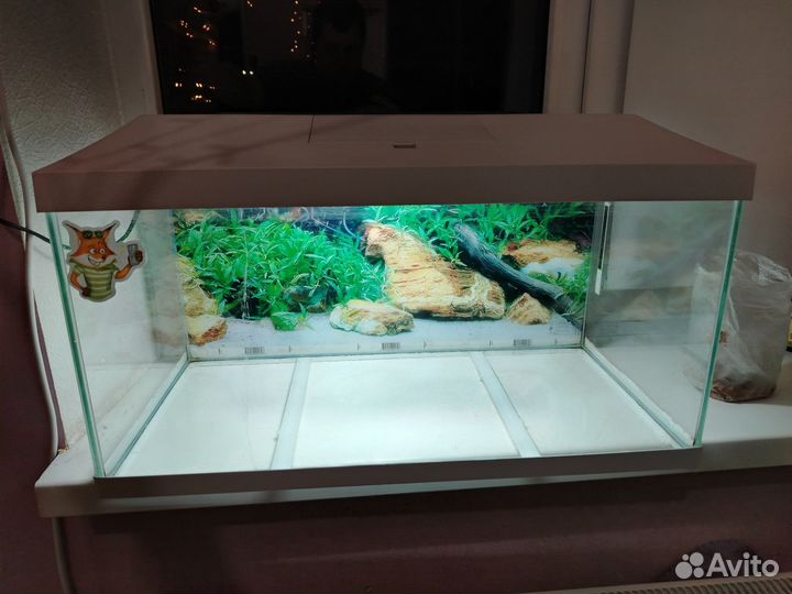Аквариум