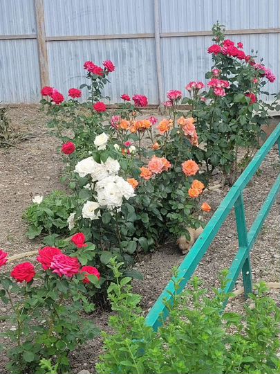 Дом 48 м² на участке 17 сот.