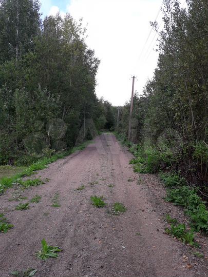 Участок 12 сот. (СНТ, ДНП)
