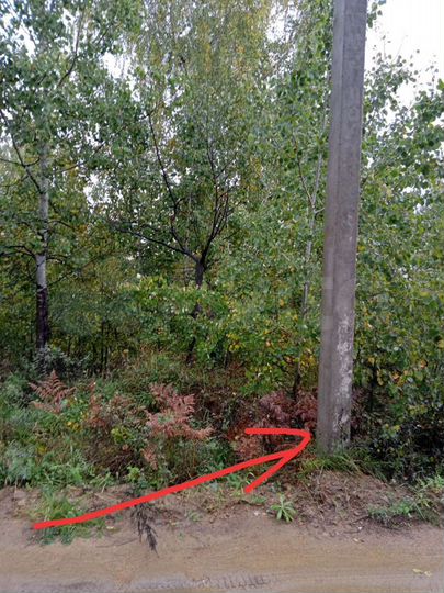 Участок 8 сот. (СНТ, ДНП)