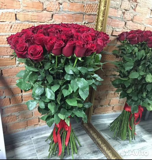 Роза Гиганты 90-120-130-140 см Эквадор