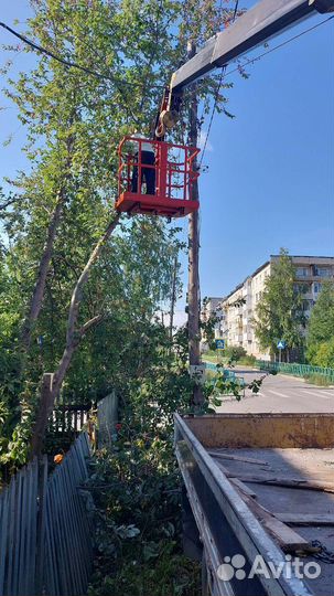 Услуги манипулятора