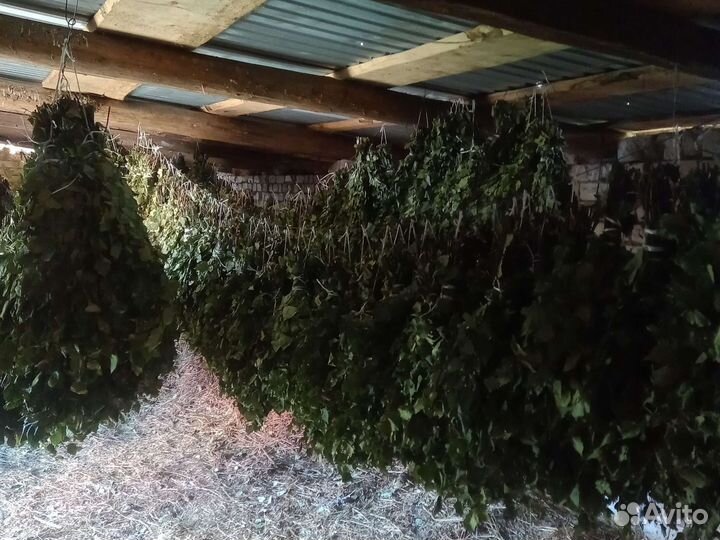 Веники для бани