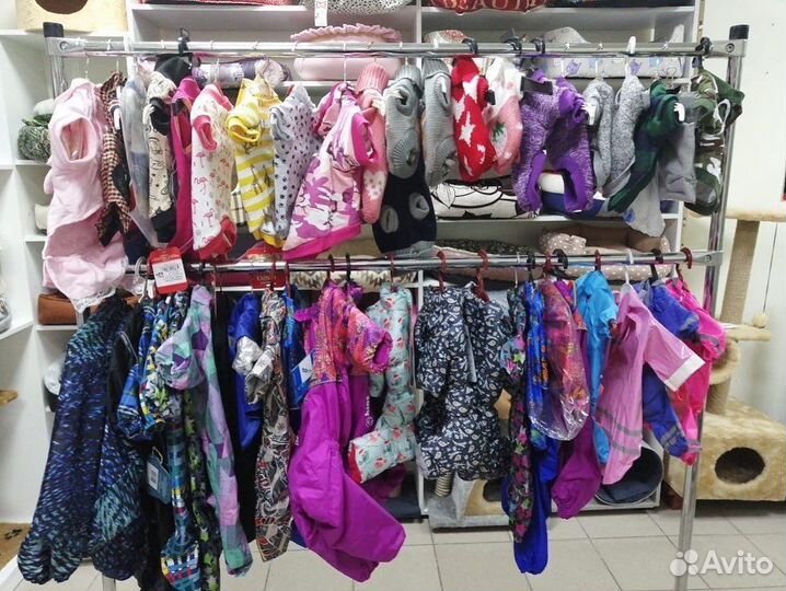 Травка для кошек