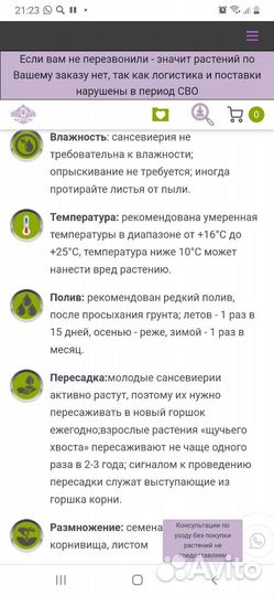 Сансевиерия ханни