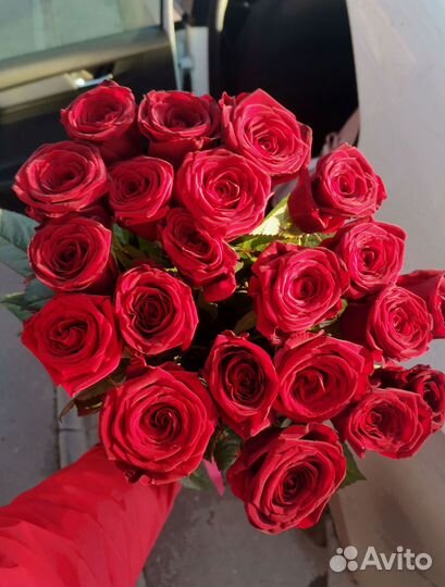 Розы букет цветов