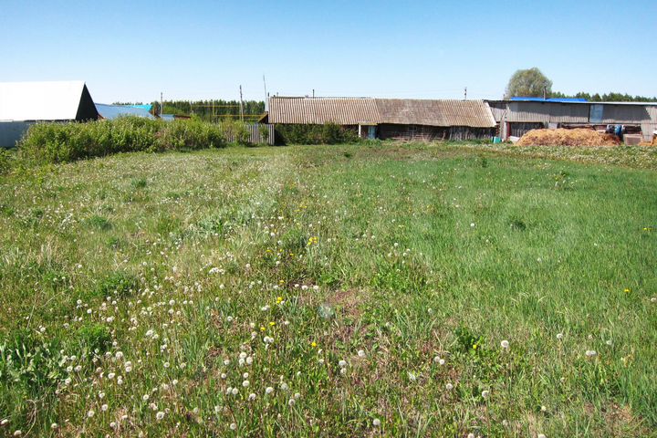 Дом 56 м² на участке 65 сот.