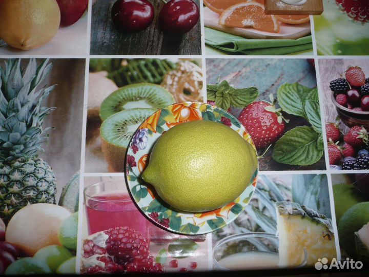 Комнатные плодоносящие лимоны