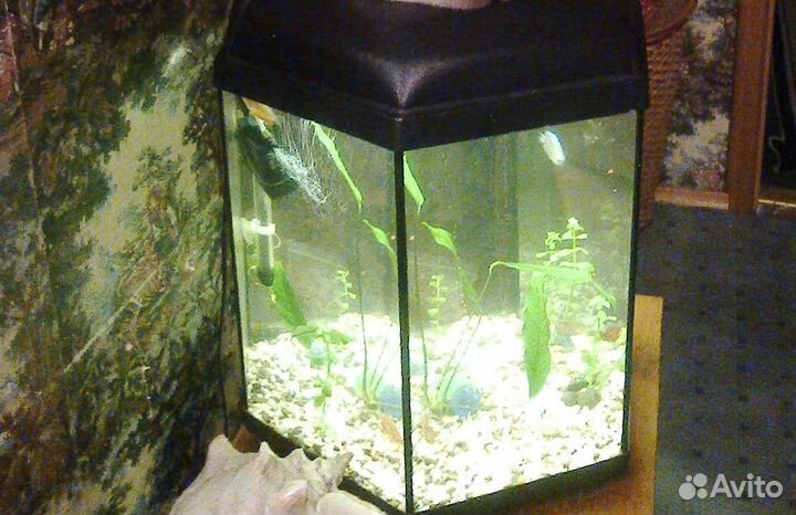 Аквариум б/у