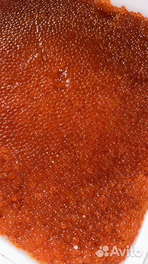 Красная икра