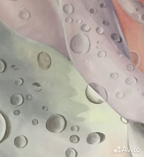 Продаю картину Роза в росе