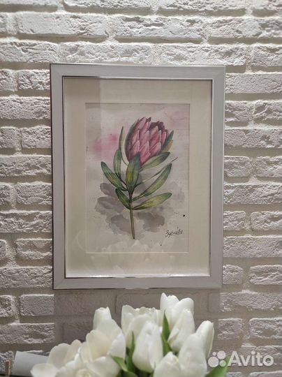 Картина протея. Акварель