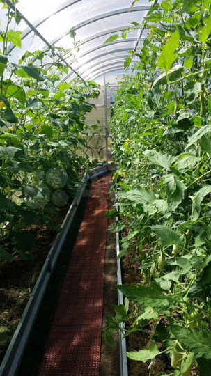 Дача 60 м² на участке 8 сот.