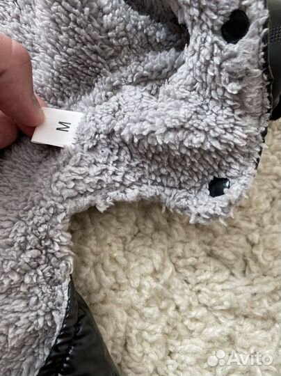 Одежда для собак мелких пород