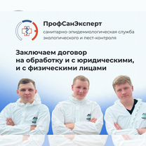 Уничтожение тараканов клопов плесени - дезинфекция