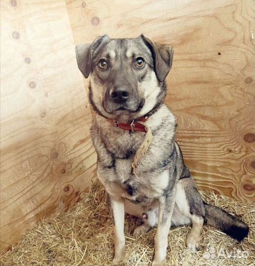 Никому не нужный