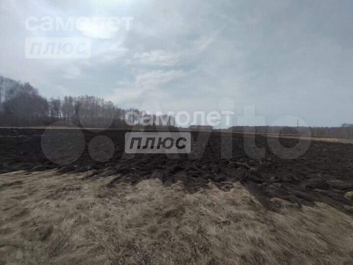 Участок 15,6 га (промназначения)