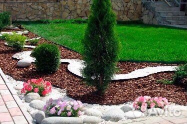 Кора лиственницы, кора сосны, спилы, шишки