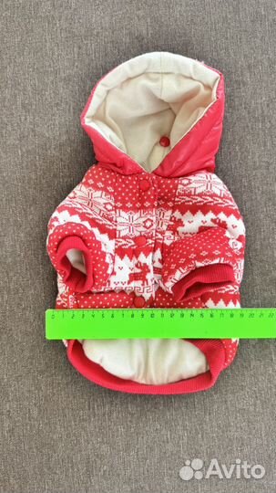 Зимняя куриочка для собаки мелкой породы