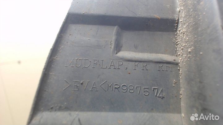 Брызговик Mitsubishi Endeavor, 2008