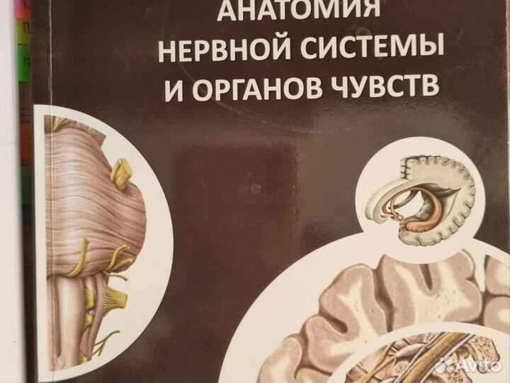 Методические пособия по анатомии