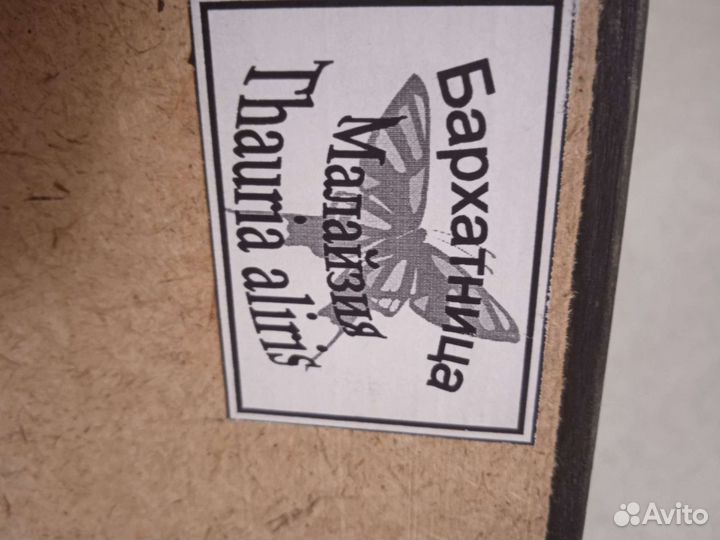 Бабочка Бархатница