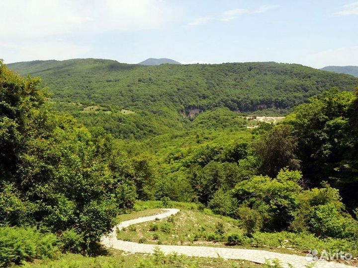 Кутаиси Топ-Экскурсия Конная прогулка к водопаду О