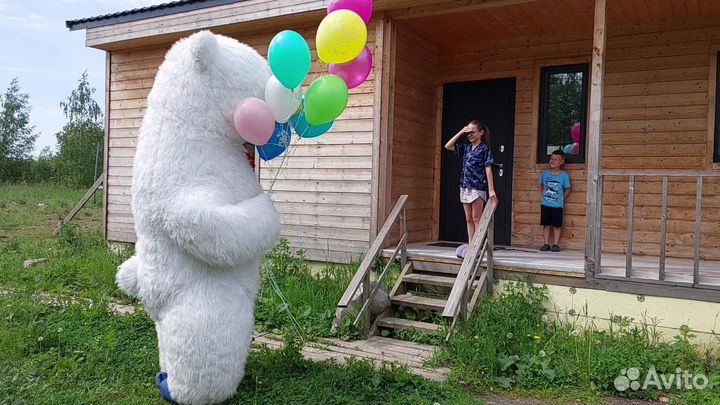 Костюм ростовой куклы аэро мишка 2