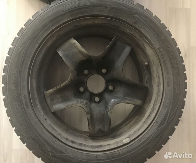 Dunlop Winter Maxx WM01 205/55 R16