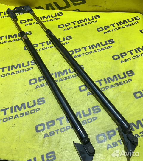 Газоупоры крышки багажника Toyota Voxy