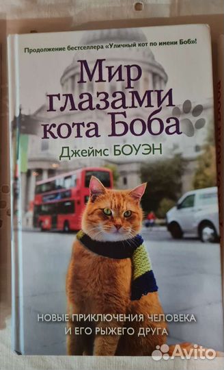 Уличный кот по имени Боб