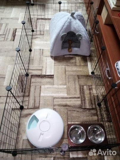 Товары для животных