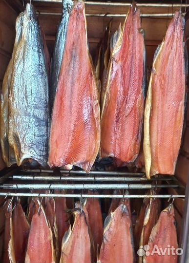 Красная рыба копченая