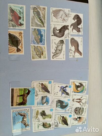 Коллекция марок