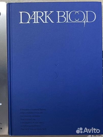 Enhypen альбом dark blood