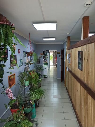 Торговое помещение