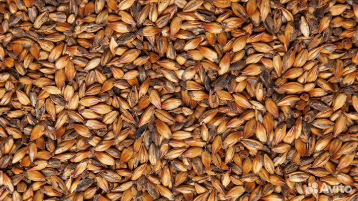 Солод карамельный 200