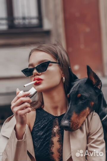 Доберманы для фотосессий