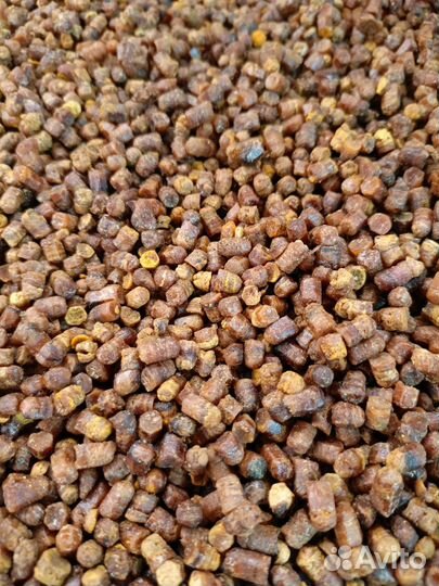 Перга пчелиная со своей пасеки