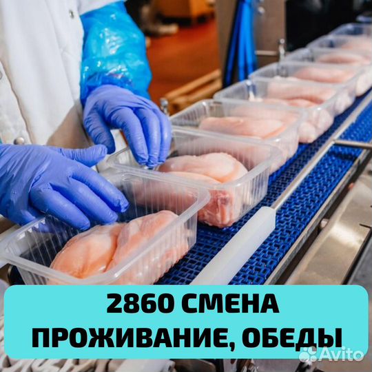 Выезд из Оренбурга, вахта Пенза, упаковщик