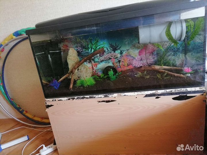 Аквариум с рыбками 180 л