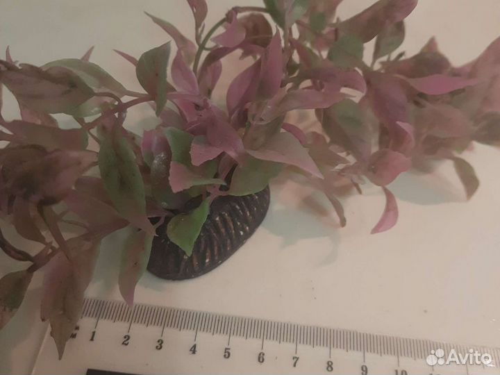 Искусственные водоросли декорация в аквариум