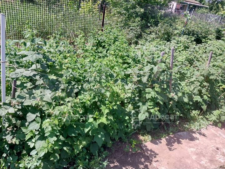 Дача 54 м² на участке 5,6 сот.